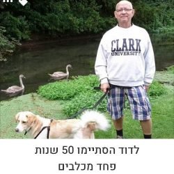 דוד פחד מכלבים