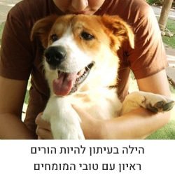 הילה בעיתון להיות הורים